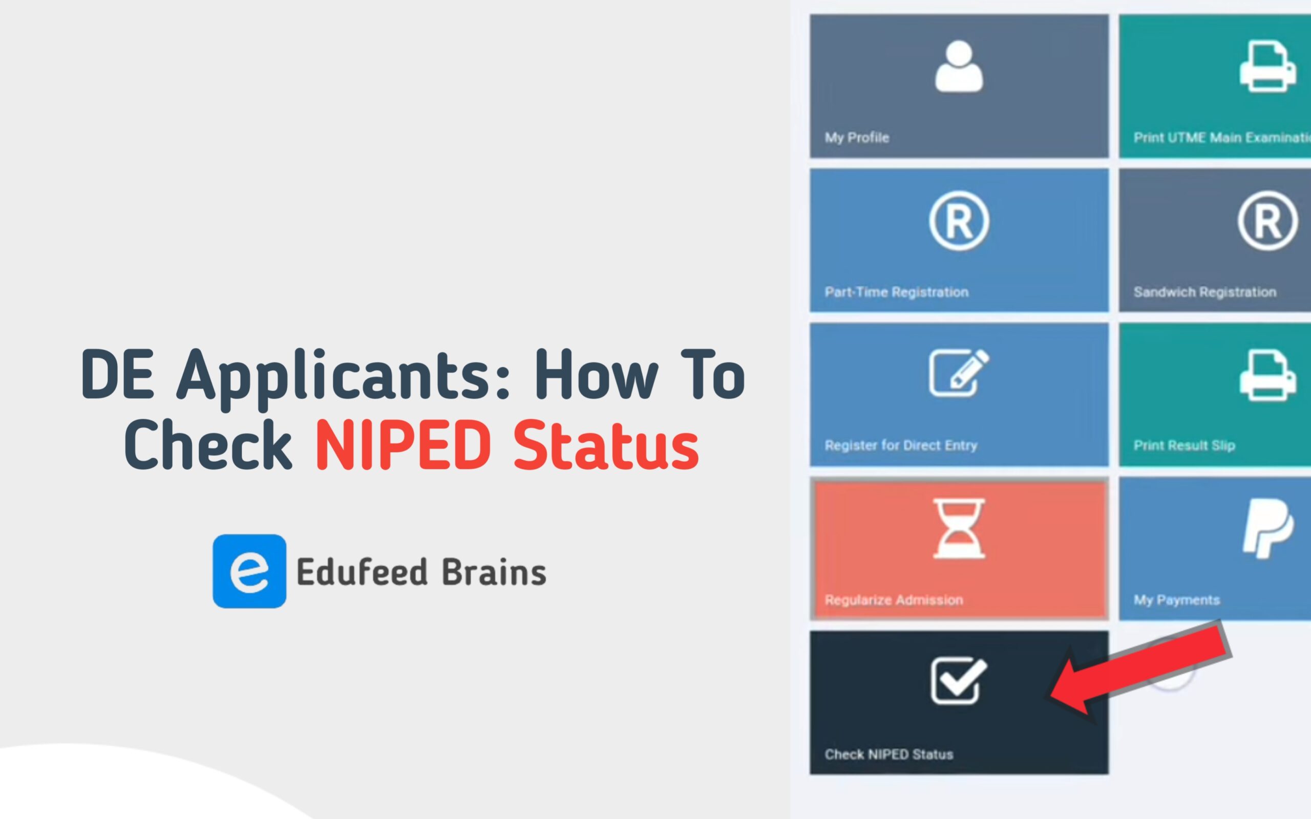 DE Applicants: How To Check NIPED Status